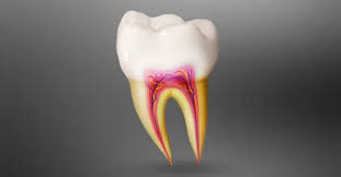 Differences Between a Pediatric Root Canal and an Adult Root Canal