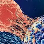 Exploring Cancer Prevention for Every Age