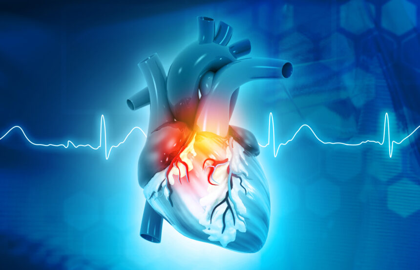 How Cardiologists Diagnose and Treat Heart Conditions